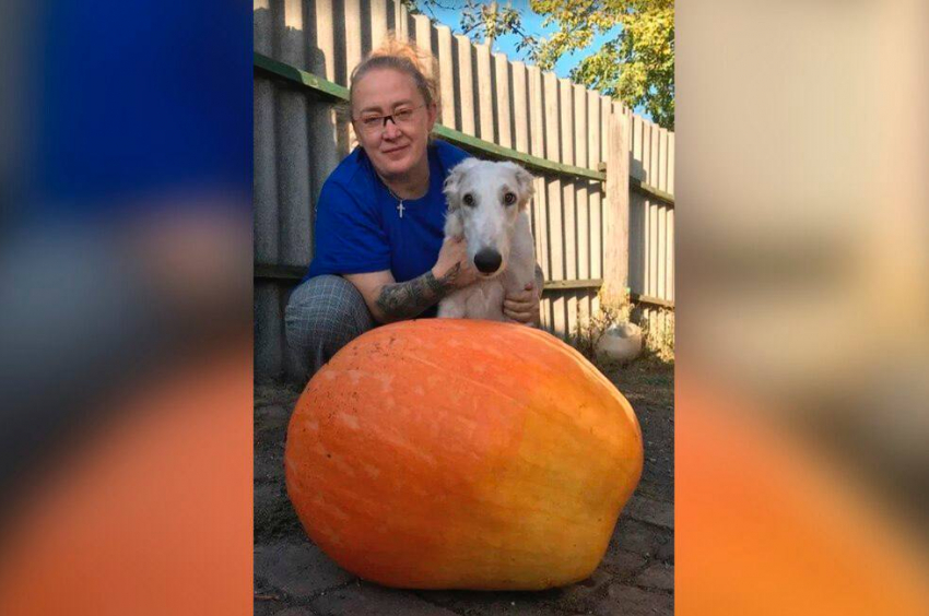 Жительница Горловки Светлана Парфёнова вырастила гантскую тыкву Володю на своем участке без воды