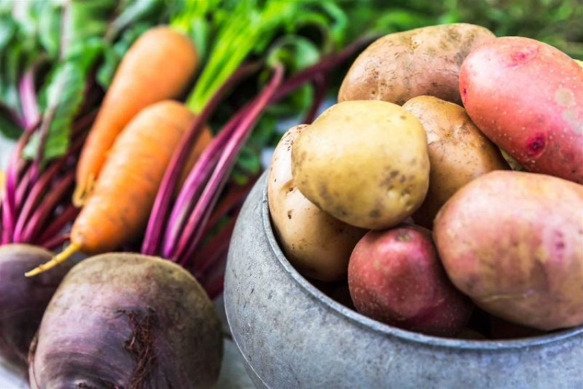 Государство поддержит маленьких и крупных сельхозпроизводителей ДНР, которые выращивают картофель и другие овощи
