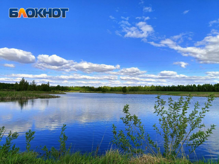 Всего 30 километров русел рек расчистили в ДНР за 2025 год