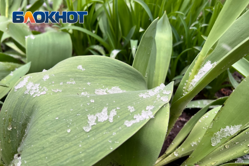 Это не шутки: в 50-летний юбилей Дня смеха в Донецке немного потеплеет