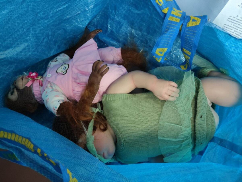 Дончанин набил обезьяну латвийскими наркотиками и попытался протащить в ДНР