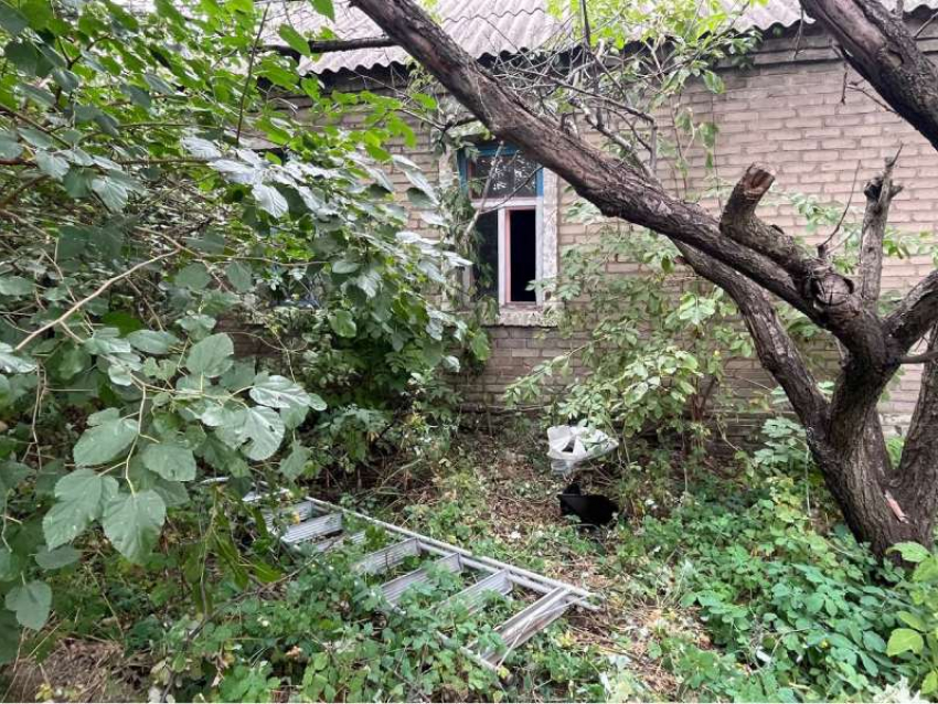 В Донецке пара пьяных товарищей пыталась украсть стремянку и 2 монитора: им грозит до 6 лет