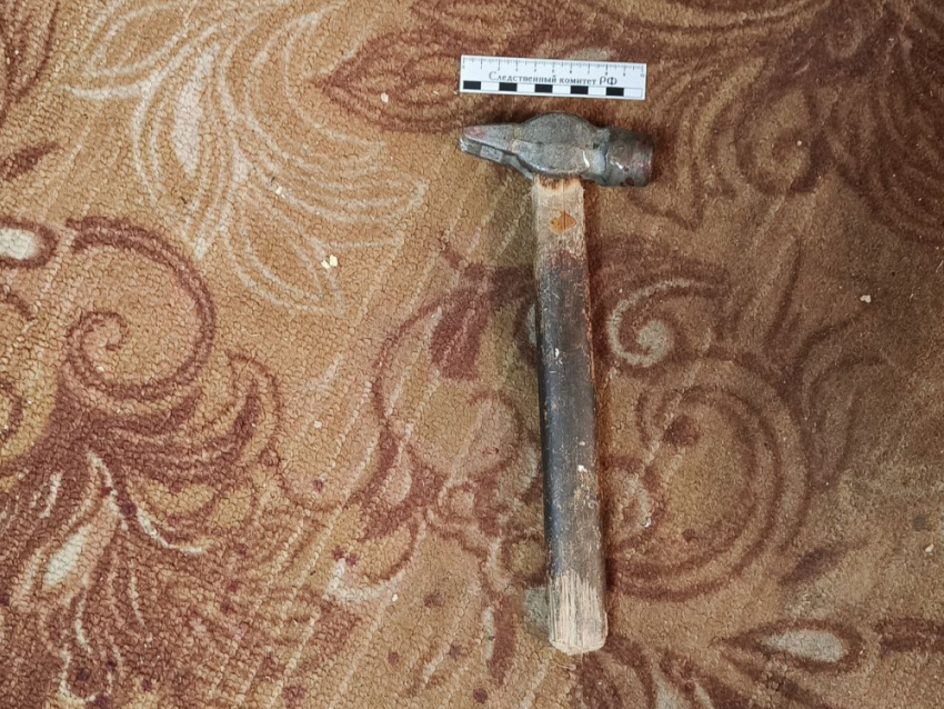 Женщина из Волновахи проломила голову молотком сожителю матери