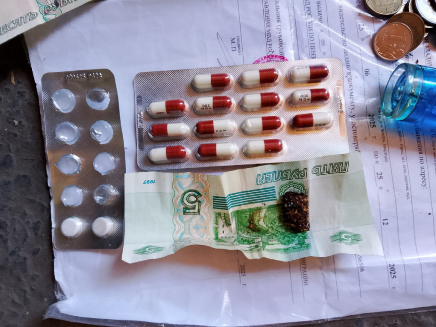 В Ялте накрыли подпольную плантацию: почти 200 кустов конопли и гашишное масло