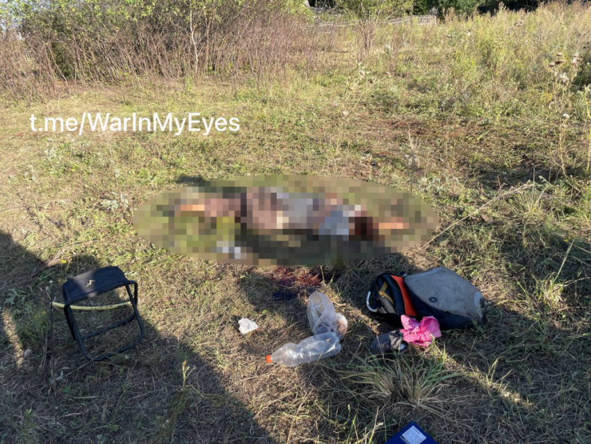 ВСУ убили в Донецке пастушку и 5 коров: вот с кем воюет Киев на Донбассе