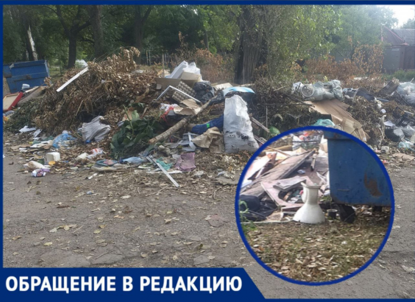 «Наблюдаю этот мусор без конца»: жители Горловки жалуются на свалки возле их домов