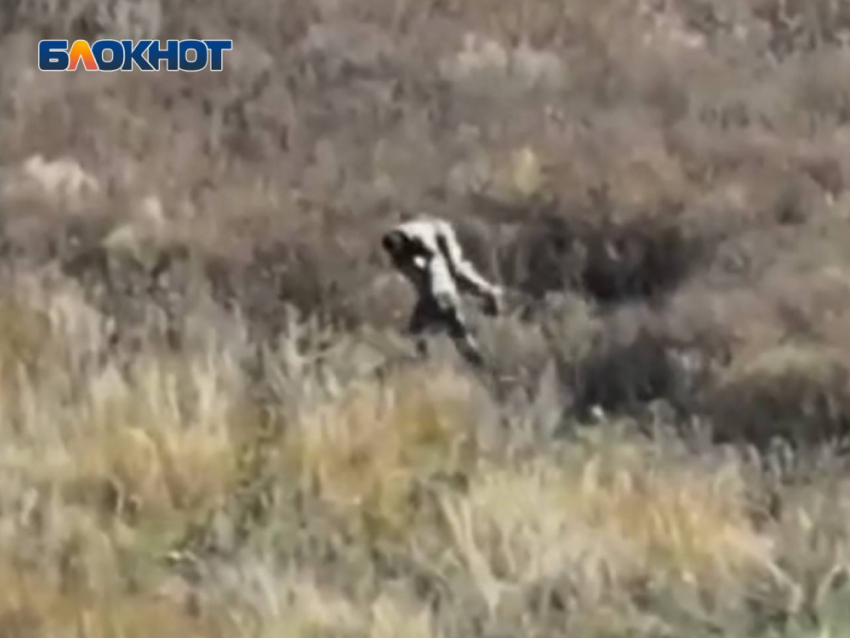 Командир более двух километров пронес на спине раненого бойца под обстрелами ВСУ