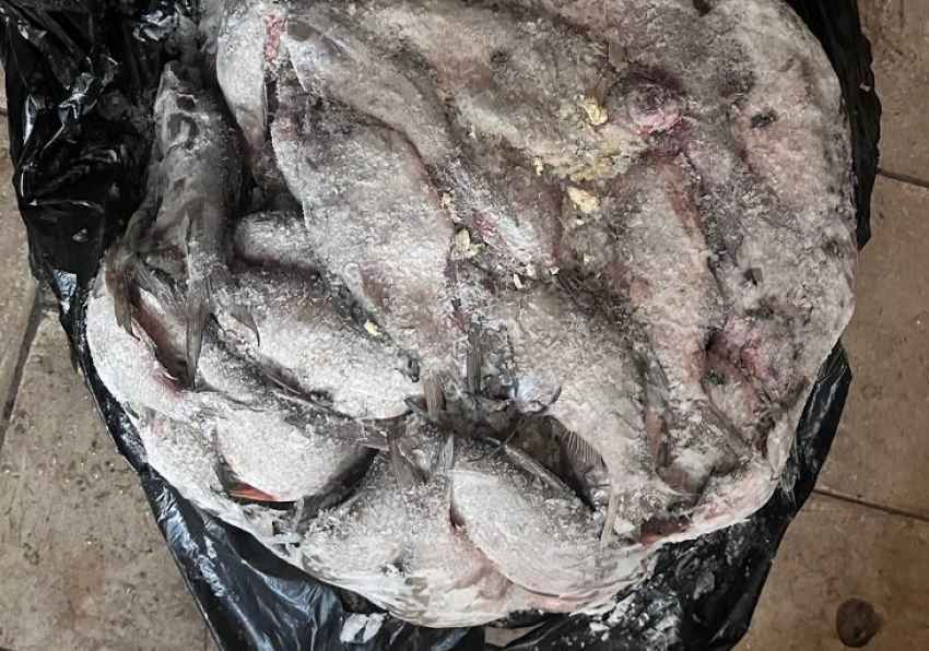 Браконьер из Шахтерска незаконно наловил рыбы на миллион рублей