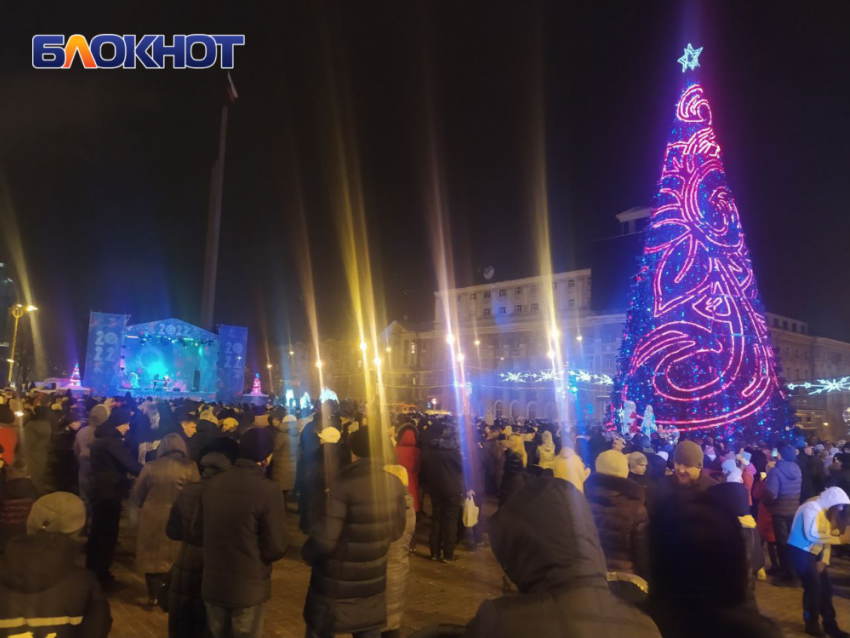 Ёлку поставят в центре Донецка, но есть нюанс