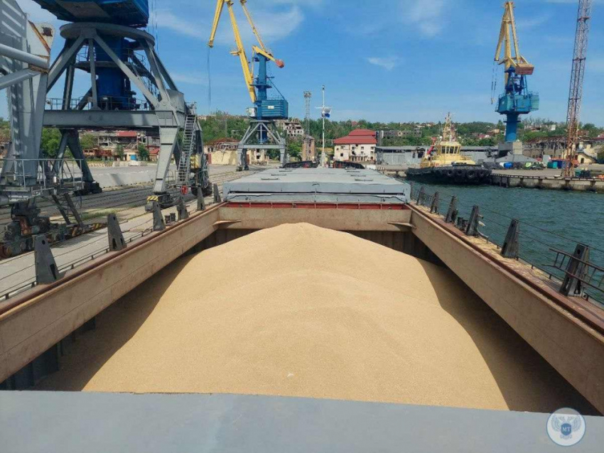 Из порта в Мариуполе отправили порядка 2 тонн пшеницы в Ростов-на-Дону