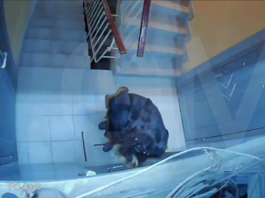 Бабушка в многоэтажке Донецка терроризирует соседей и грозится расправой из-за «шума»