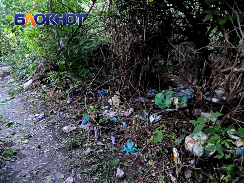 В центре Куйбышевского района устроили стихийную свалку под ЛЭП