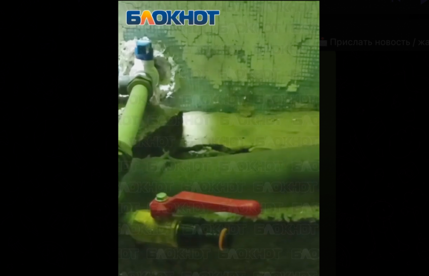 «Воды из бочки по разбитой дороге не натаскаешься» — Синцова в Донецке без воды два месяца