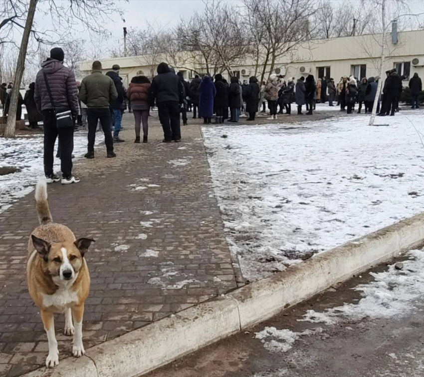 На прощание с гендиректором донецкого приюта для животных «ПИФ» пришли более 200 человек