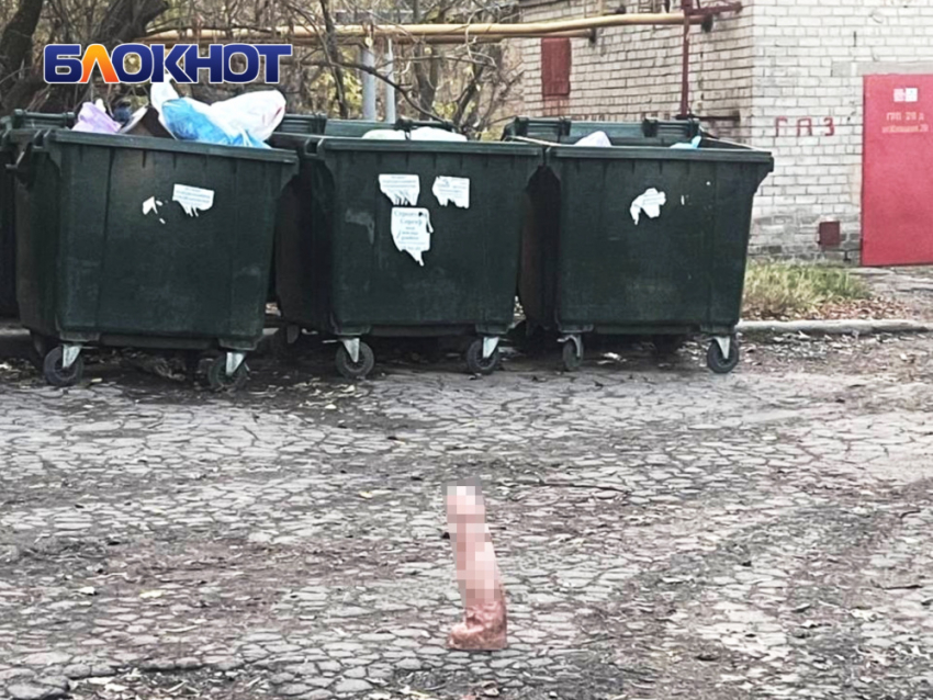  Огромный фаллоимитатор нашли у мусорных баков в Донецке в Мирном микрорайоне