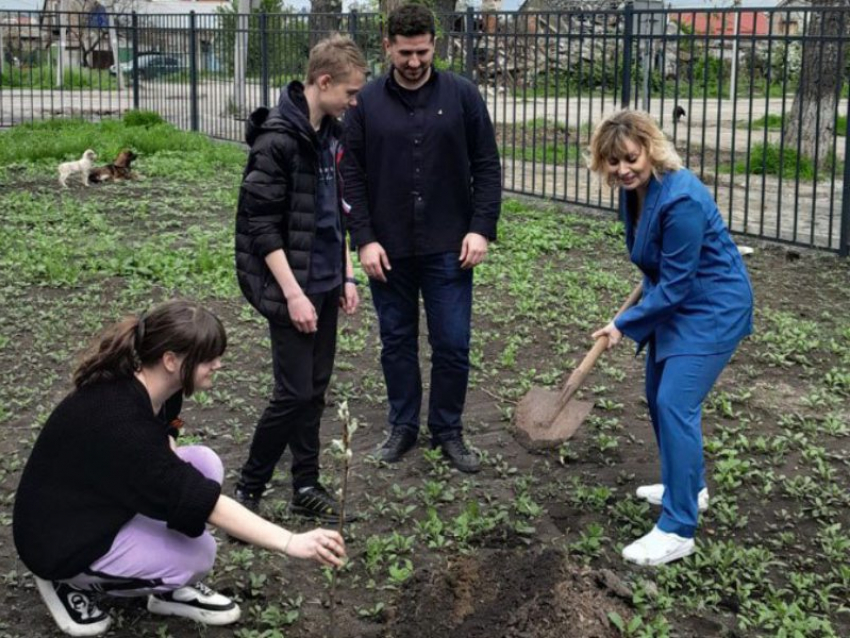 Ученики Мариупольской школы поддержали Международную акцию и высадили «Сад памяти»