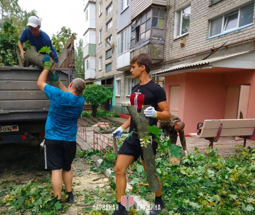 Дружинники ДНР помогают убирать упавшие ветки и деревья после дождя