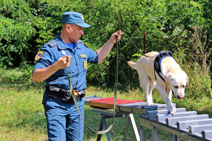 Собаки МЧС ДНР получили новую тренировочную базу на «Донецком море»