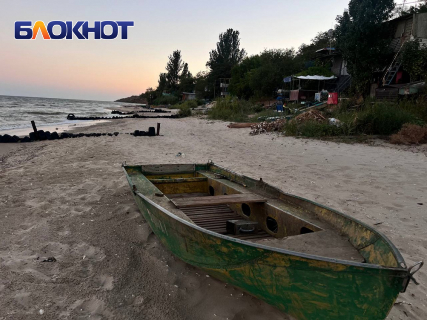 Бойкий птенец краснокнижного баклана потерялся на мариупольском побережье