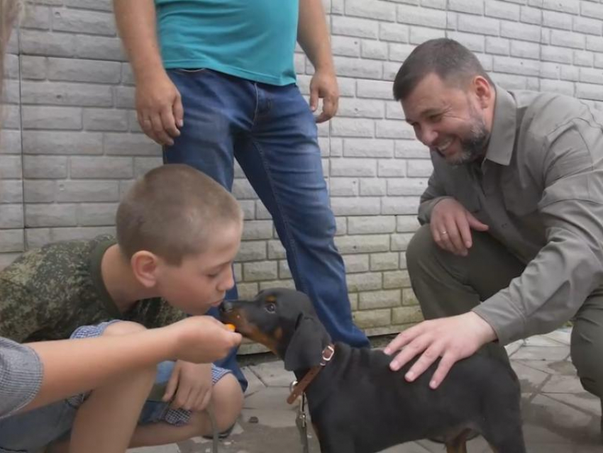 Щенка Добермана подарил Денис Пушилин Антону из Мариуполя: его собак убили снаряды 